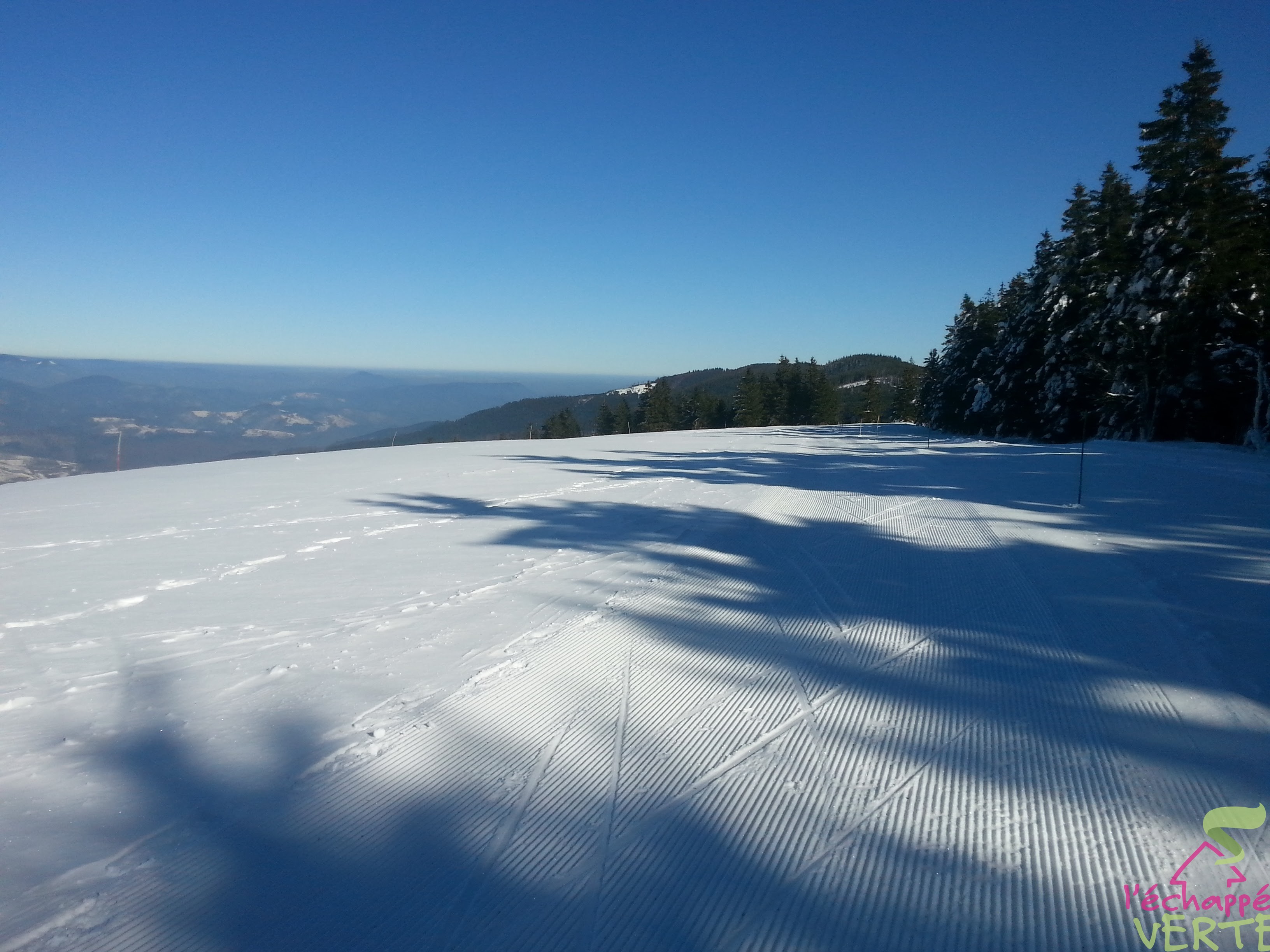Haicot en hiver